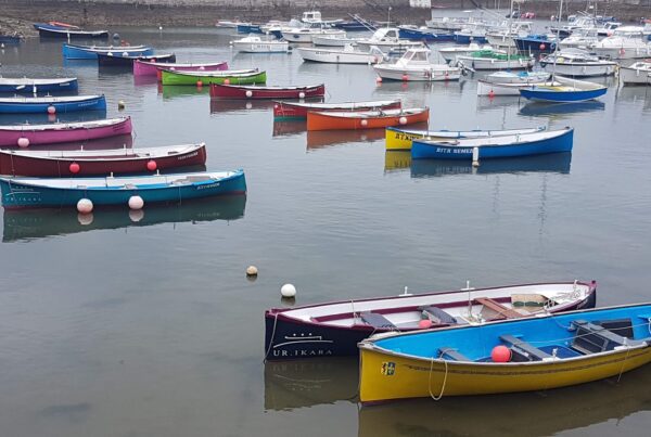 Peter-Jan Melenhorst Coaching | Ambitie of intentie